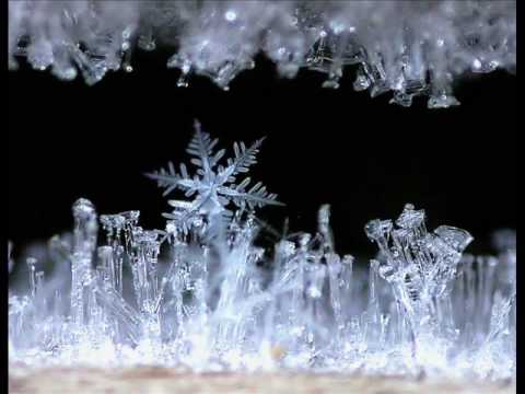 SNOWFORMS - R. Murray Schafer 1 SNOWFORMS - R. Murray Schafer 1